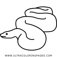 Arshi on september 18, 2019. Boa Coloring Pages Ultra Coloring Pages