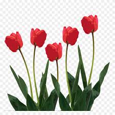 Check spelling or type a new query. Mothers Day Clipart Free Images Happy Mothers Day Clipart Stunning Free Transparent Png Clipart Images Free Download