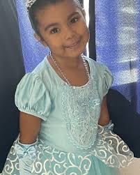 The Princess of our Castle ♥️ #PrincessEllie #Cinderella