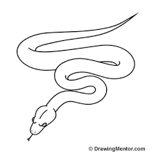 Snake imagery is very important to me, but intimidating to draw and. How To Draw A Snake
