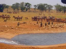 Man Drives Hours Every Day In Drought To Bring Water To Wild Animals Animals Wild Animals African Wildlife