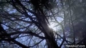 Apr 14, 2017 12:15 pm · by julia birkinbine. Grey S Anatomy 8x23 Plane Crash Ending Scene On Make A Gif