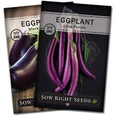 More images for how to plant eggplant seeds outdoors » Sow Right Seeds Eggplant Seed Collection For Planting Black Beauty And Long Eggplant Varieties Non Gmo Heirloom Seeds To Plant An Outdoor Home Vegetable Garden Great Gardening Gift Buy Online