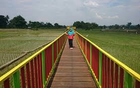 Check spelling or type a new query. Wisata Alam Batu Gajah