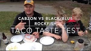 Check spelling or type a new query. Fish Tacos From Toxic Bird Poop Rock Catchandcook Fishing Rockfish Youtube