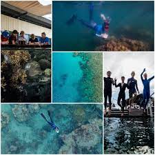Reef safe sunscreens are a little different from the traditional sunscreens you may be accustomed to. Reef Safe Sunscreen Reef Check Australia