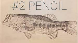 How to make a fish outline for free? 2 Pencil Art Drawing A 4lb Largemouth Bass Youtube