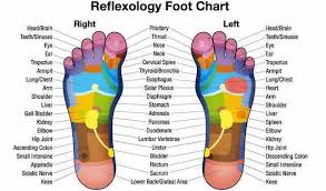 Image result for reflexology