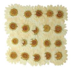Visit to my other chan. Silver J Pressed Real Dried Flowers White Marguerite Daisy 20 Pieces For Floral Art Craft Card Making Buy Online In Azerbaijan At Azerbaijan Desertcart Com 49392487