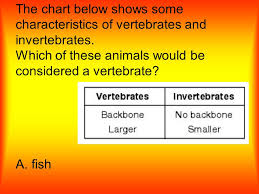 Whole Class Review Activity Classifying Living Things Ppt