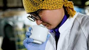 Harvey Galloway's Instagram, Twitter & Facebook