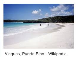 Cómo jugar el juego en línea puzzle en el que para montar una imagen de motivos africanos. Home Page Rotary E Club Puerto Rico Y Las Americas