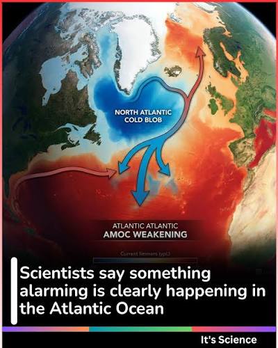 Scientists say something alarming is clearly happening in the Atlantic Ocean.  A mysterious 'cold blob' of cooling water in the warming Atlantic Ocean  signals that a critical planetary current system may be