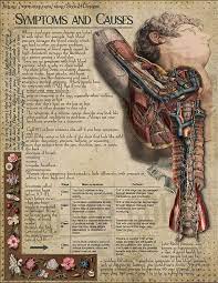 Circulatory System Human Anatomy Printable Book Of Shadows Bos Green Witch Digital Download Vintage Wicca Anatomical Illustrations In 2021 Book Of Shadows Human Anatomy And Physiology Human Anatomy