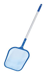 Poolkescher Test Die 9 Besten Poolkescher 2021 Mit Vielen Tipps