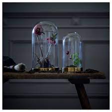 Maybe you would like to learn more about one of these? Begavning Glasglocke Mit Teller Heute Bestellen Ikea Deutschland
