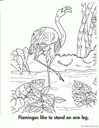 These alphabet coloring sheets will help little ones identify uppercase and lowercase versions of each letter. Animal Habitat Coloring Pages Printable Sheets Flamingo Habitats Pages 2021 A 0505 Coloring4free Coloring4free Com