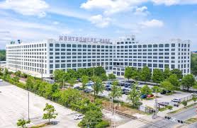 Image result for Green 1958 Montgomery Ward