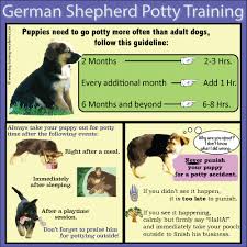 german shepherd puppy training guide