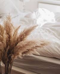 Pin By Yan Ting On Aesthetics In 2020 Beige Aesthetic Brown Aesthetic White Aesthetic