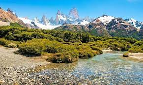 Nature and wildlife in argentina. Wildlife Holidays In Argentina For 2021 22 Naturetrek