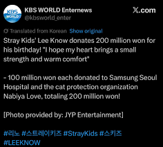 Lee Know Birthday Donation | TikTok