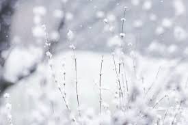 Here you can find the best 4k winter wallpapers uploaded by our community. Winter Tumblr Desktop Wallpapers Wallpaper Cave