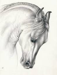 Classic Andalusian Horse By Evey Studios Gabigabi Matusik Prom Andalusian Horse Horses Horse Art