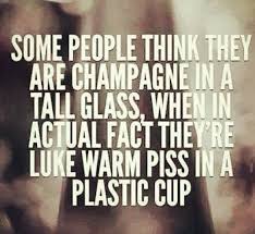I Can T Stand Snobby People That Think They Re Better Than Everyone Else Funny Quotes Inspirational Quotes People Quotes