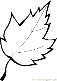 Choose from 13 different printable leaf coloring pages below. Printable Leaves Coloring Pages Averlancelighthawklegacy