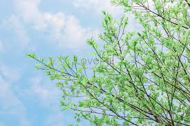 Check spelling or type a new query. Makna Musim Bunga Gambar Unduh Gratis Imej 501580986 Format Jpg My Lovepik Com