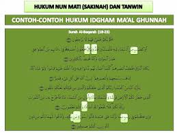 Contoh hukum idgham bilaghunnah dalam ayat. Ilmu Al Quran Contoh Contoh Hukum Idgham Ma Al Ghunnah