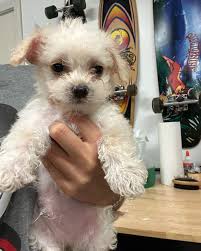 Megan Feathers (@megan_elizabeth037) • Instagram photos and videos