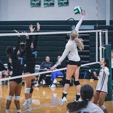Alaina Jarrett's Academic Magnet High School Career Home