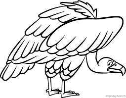 In addition, some vulture is also called condor or buzzard. Vulture Coloring Pages Coloringall