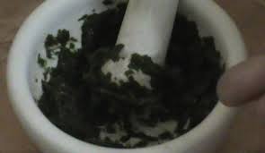 We did not find results for: Manfaat Daun Sirih Untuk Jerawat Bibitbunga Com