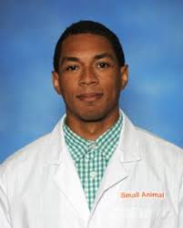 Insulinoma in a senior pit bull: Surgery perspective