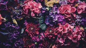 Maybe you would like to learn more about one of these? Hd Wallpapers Pinterest Iphone Novocom Top