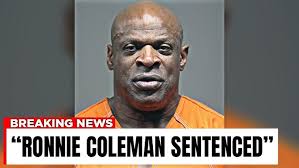 I've Been Training & Sparring Like A Boxer