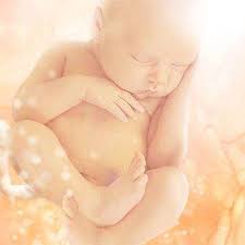 33 haftalık hamilelikte, gebeliğinizin 8.ayındasınız demektir. Gebelikte 32 Hafta Gebe Com