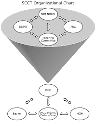 Scct Organizational Chart