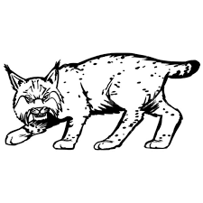 Angry Bobcat Coloring Pages Best Place To Color Coloring Pages Bobcat Coloring Pictures