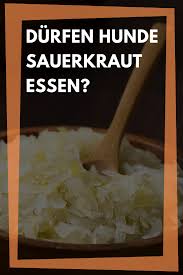 Sauerkraut Fur Hunde Roh Oder Gekocht Gegen Fremdkorper Im Darm Sauerkraut Lebensmittel Essen Essen