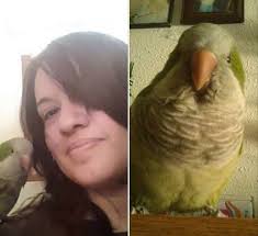 LOST: QUAKER/MONK PARAKEET NAME: CHICO FEBRUARY 24, 2025 JACKSON AVE &  CALCON HOOK RD SHARON HILL, Delaware County, PA 19079 CONTACT: JENNETTE  ORTIZ https://www.facebook.com/share/1A3uZ1sTVN/ Hi, I'm from Delaware  county my bird flew