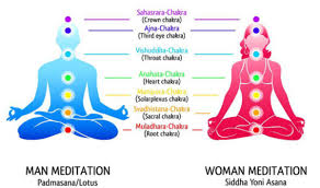 Image result for chakras