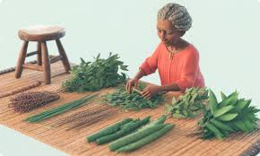 Traditional Medicine in Igbo Society: History, Healing Practices, and Enduring Cultural Significance || Nnewi City