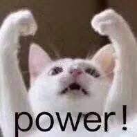 Create animated gifs from youtube, videos, or images and decorate with captions and stickers.share your gifs on facebook, twitter, instagram, and sms. Pin By å©·ç¾…on Art Cats Neko Animals