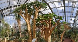Untere karspüle 2 37073 göttingen. 17 02 2019 Der Ndr Berichtet In Einer Zeitreise Uber Den Botanischen Garten Kiel Botanischer Garten Kiel