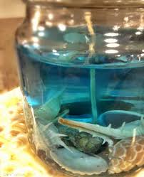 Beautiful Diy Beach Gel Candles That Capture Sea And Sand Coastal Decor Ideas Interior Design Diy Shopping