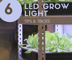 Check spelling or type a new query. 6 Led Grow Light Tips And Tricks Best Led Grow Lights Info